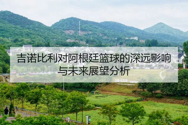 吉诺比利对阿根廷篮球的深远影响与未来展望分析