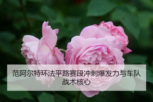 fan-a-er-te-huan-fa-ping-lu-sai-duan-chong-ci-bao-fa-li-yu-che-dui-zhan-shu-he-xin-3-914.jpg